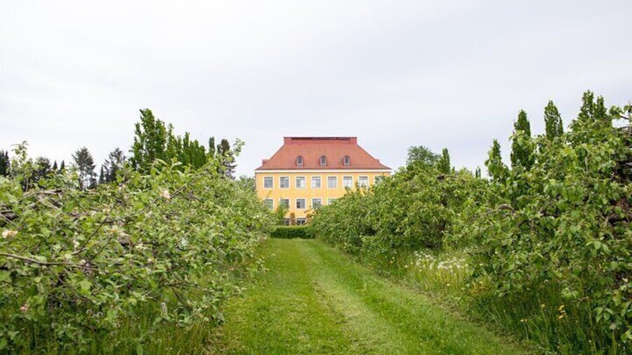 PRIVATE Visit to Authentic Finnish Berry Winery + Tasting