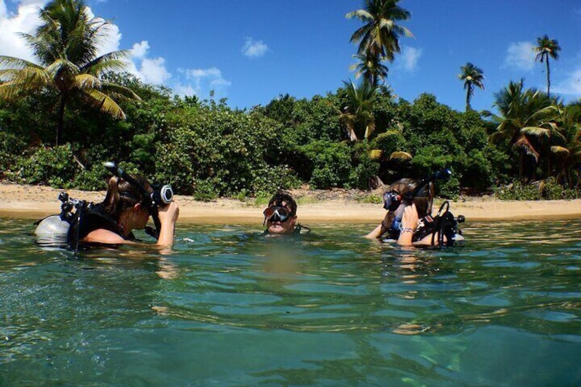 Scuba Dive and Snorkel Private Charter in Puerto Rico