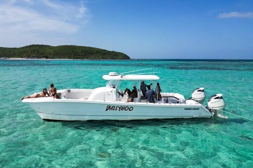 Scuba Dive and Snorkel Private Charter in Puerto Rico