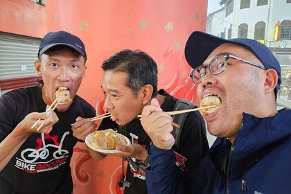 Tour gastronómico y en bicicleta por Singapur - Centro