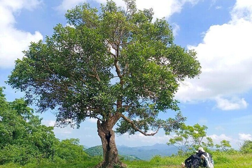 Nasugbu 3 peaks Day hike From manila