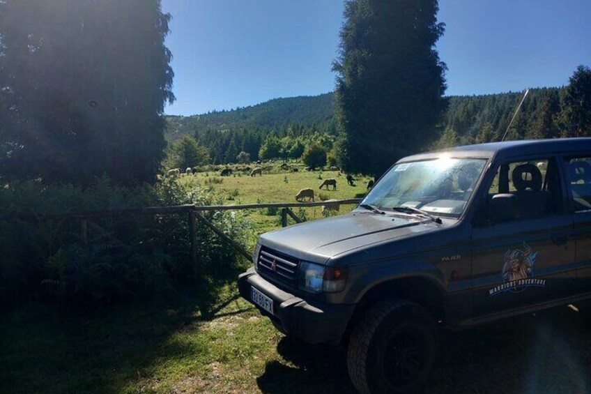 Jeep Safari 4x4 full day on the East side of Madeira (Santana)