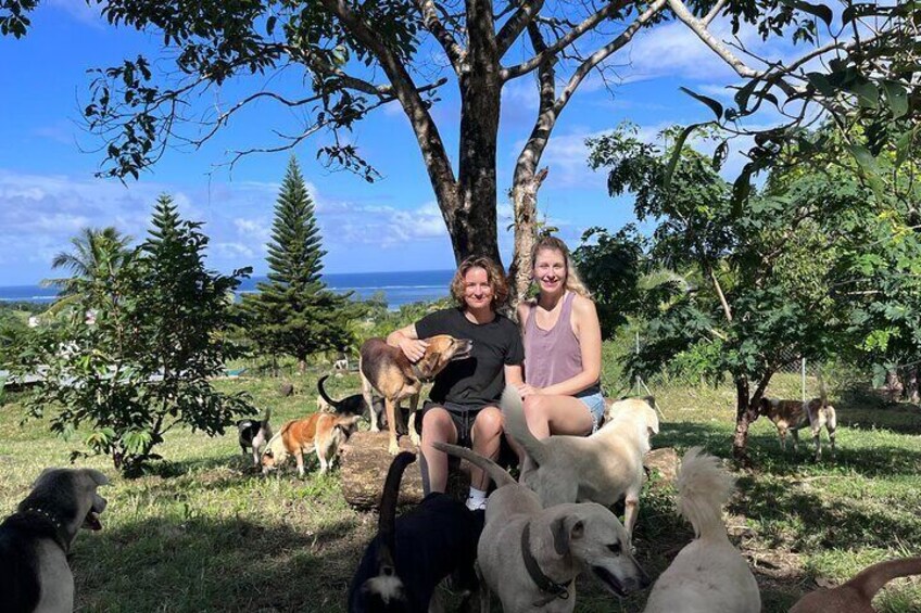 Dog Lover's guided tour of the Happy Tails Sanctuary