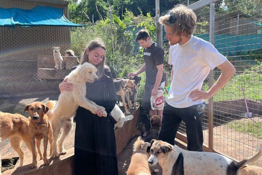 Dog Lover's guided tour of the Happy Tails Sanctuary