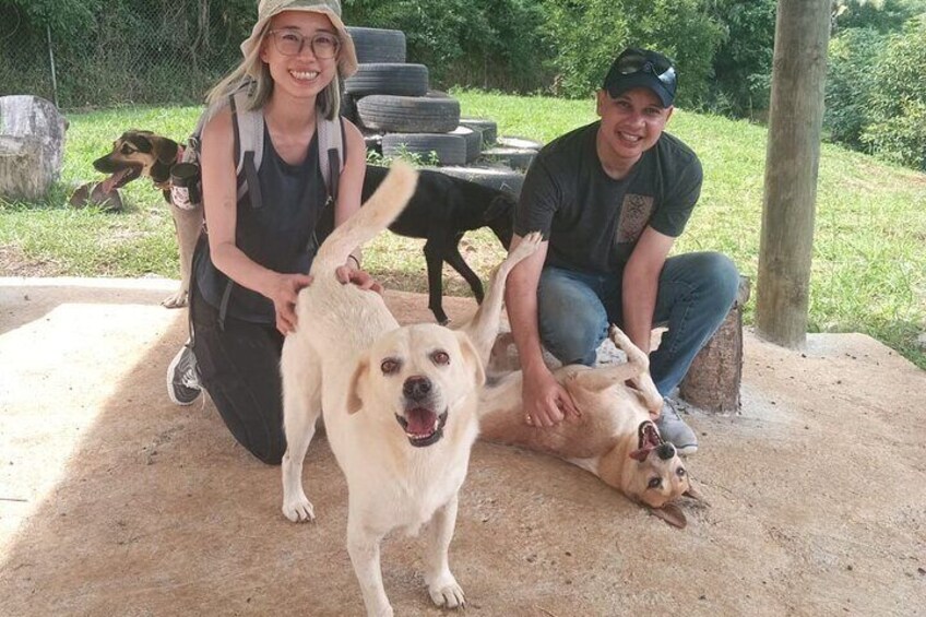 Dog Lover's guided tour of the Happy Tails Sanctuary