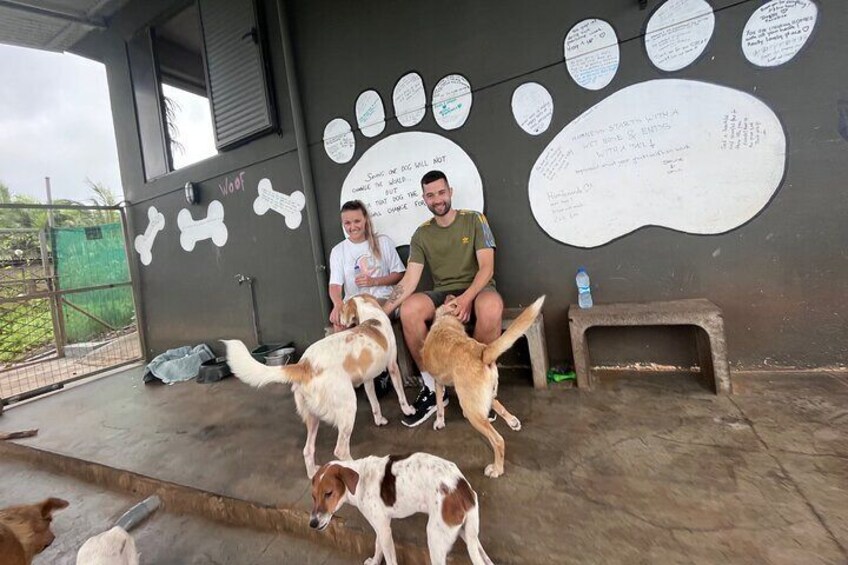 Dog Lover's guided tour of the Happy Tails Sanctuary