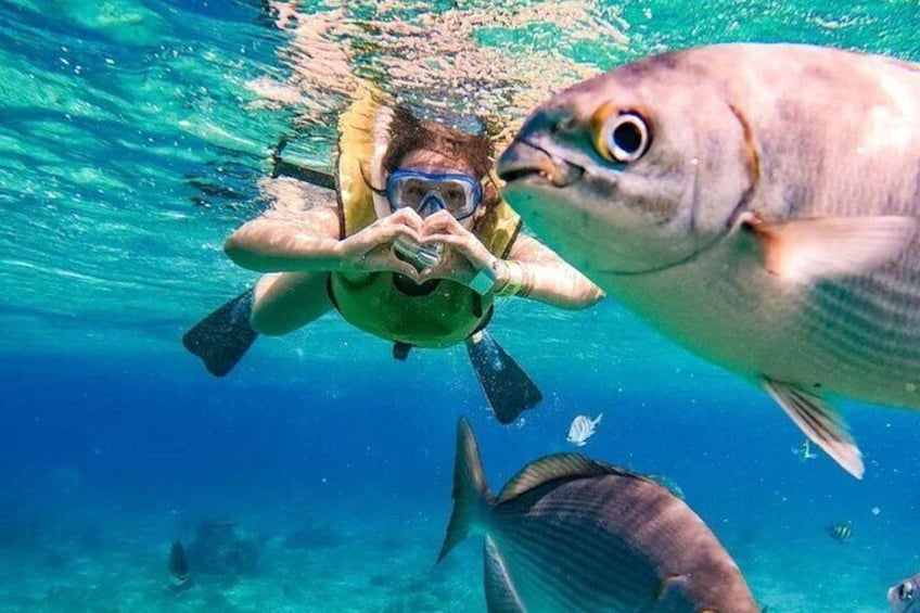 Deluxe Catamaran to Isla Mujeres, with Drinks, Snorkel & Buffet
