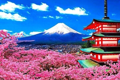 Private Mount Fuji and Hakone sightseeing Day trip with guide
