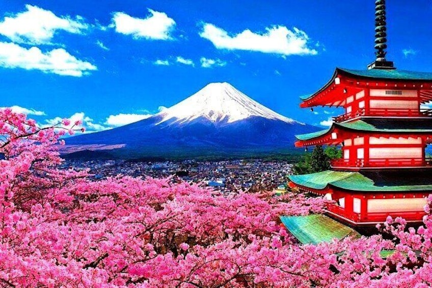 Private Mount Fuji and Hakone sightseeing Day trip with guide 