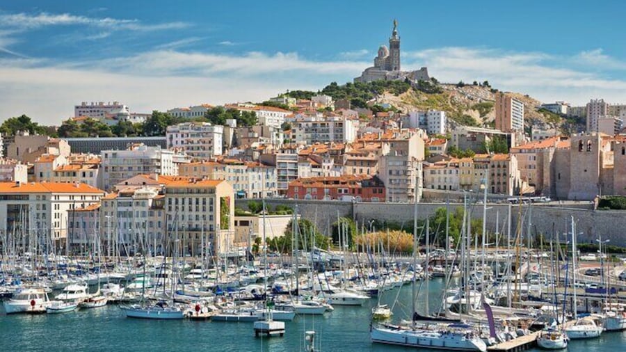 Full Day Private Shore Tour in Marseille from Toulon Cruise Port