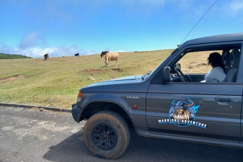 Unforgettable adventure in a 4x4 jeep on the west side of Madeira 