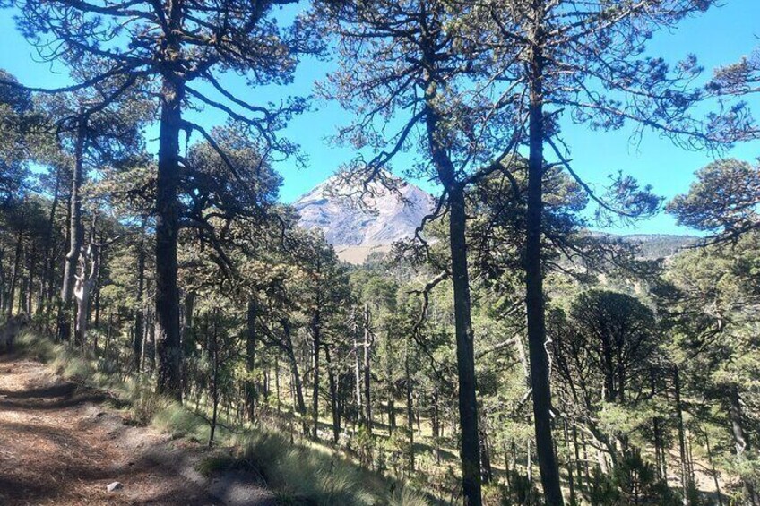 top of Pico de Orizaba
