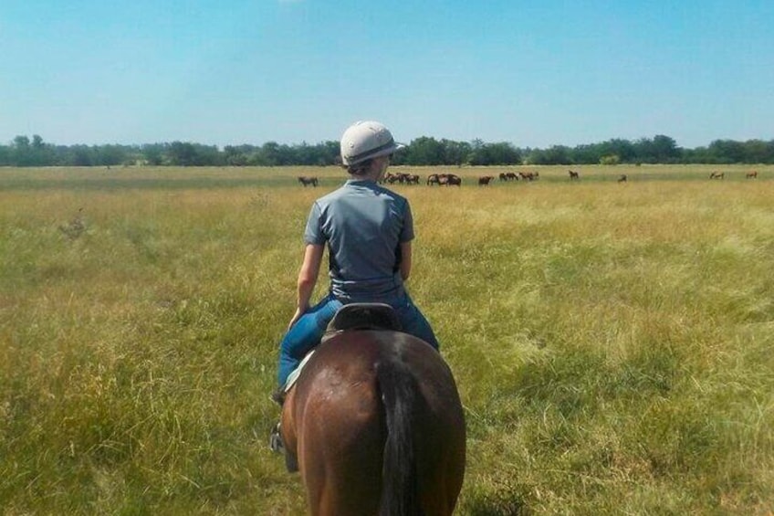 Horseback Riding Tour and Asado in Argentine Countryside