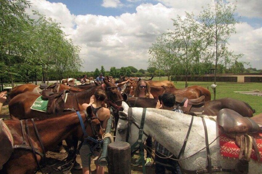 Horseback Riding Tour and Asado in Argentine Countryside