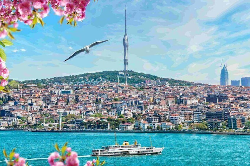 Istanbul Camlica Tower: Private Entry, Transfer & Dine Choices