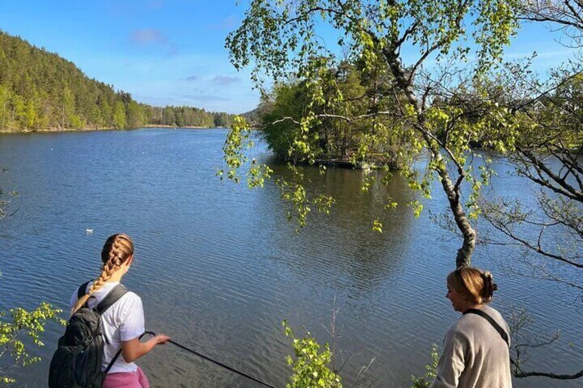 Oslo: Scenic Hike and Norwegian waffle witch local & puppy