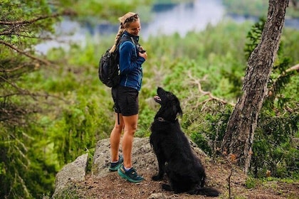 Oslo: Scenic Forest Hike with Dog & Local Guide