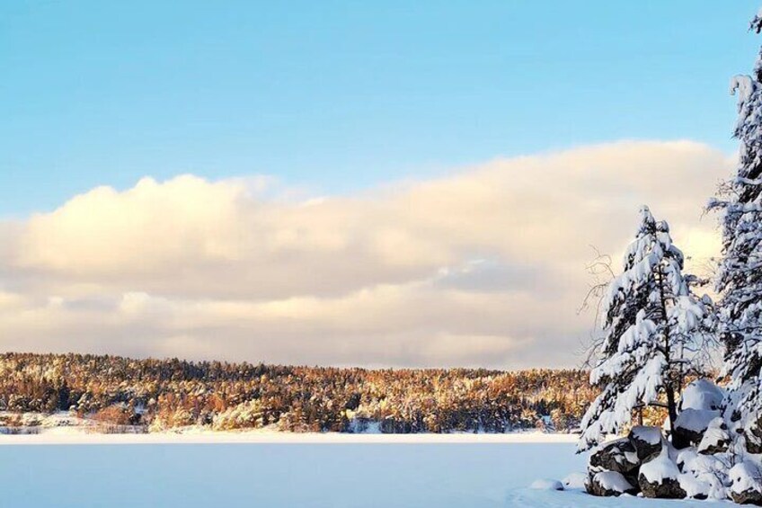 Winter Wonderland Hike & Norwegian Waffles with Local & Dog