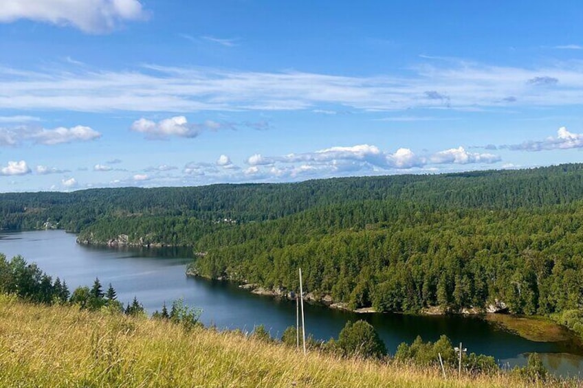 Oslo: Scenic Forest Hike with Dog & Local Guide