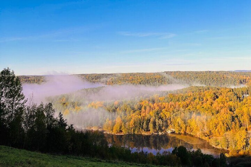 Oslo: Scenic Forest Hike with Dog & Local Guide