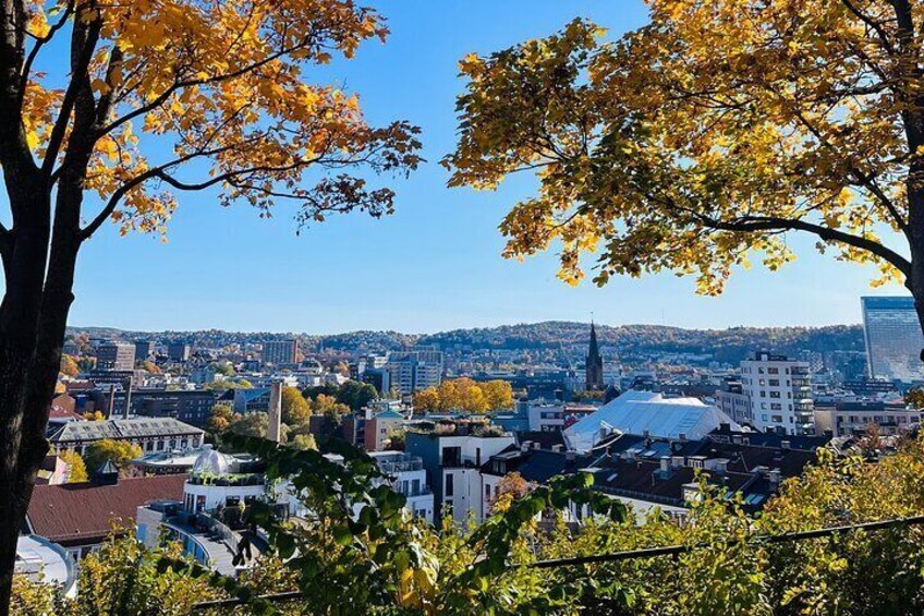 Norwegian Food Tour & Hidden Gems of Oslo