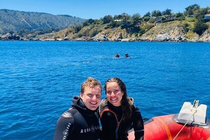 Diving excursion in Quintay