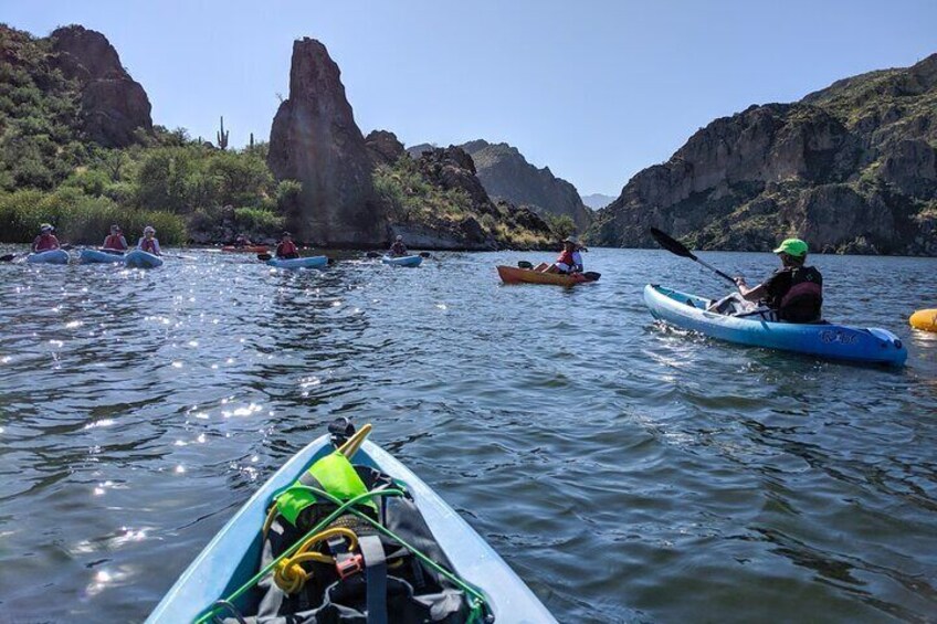 2.5 Hours Guided Kayaking and Paddle Boarding on Saguaro Lake