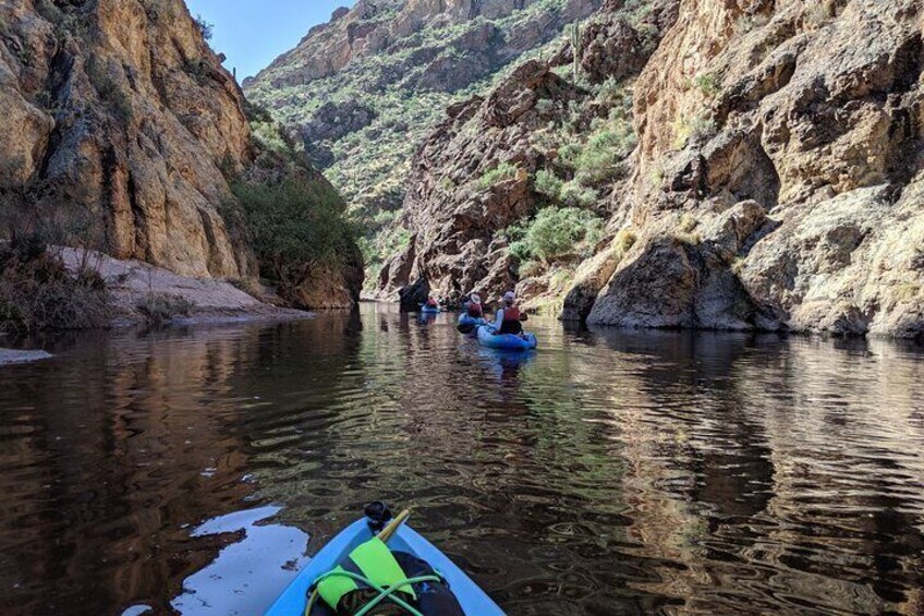 2.5 Hours Guided Kayaking and Paddle Boarding on Saguaro Lake