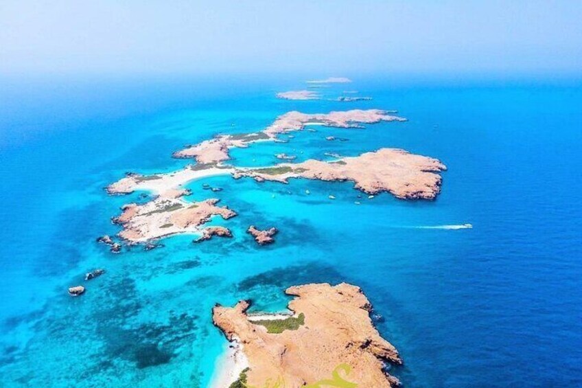 Daymaniyat island Natural Reserve and Dolphin Watching