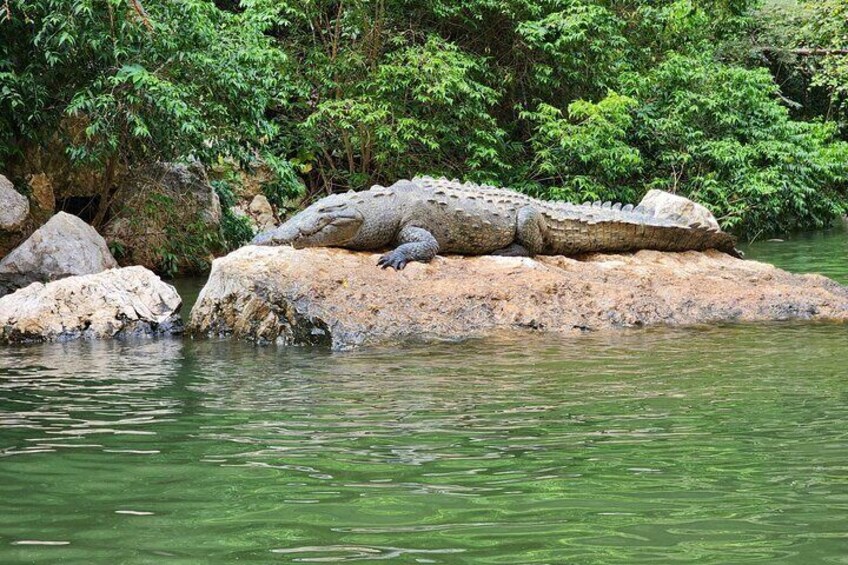 Private 8-day Immersive Cultural Tour of Chiapas Mexico