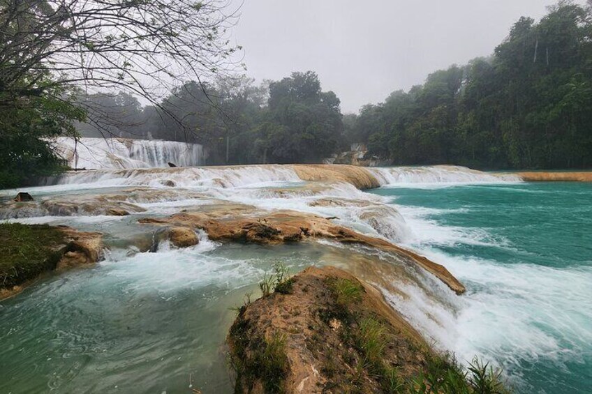 Private 8-day Immersive Cultural Tour of Chiapas Mexico