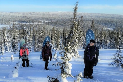 Private 2-Hour Snowboarding in Levi