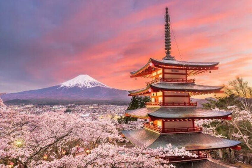 Full Day Private Tour To Mount Fuji Assisted By English Chauffeur