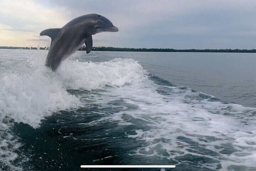 Private 3 Hour Sunset Cruise in 10,000 Islands Naples, FL