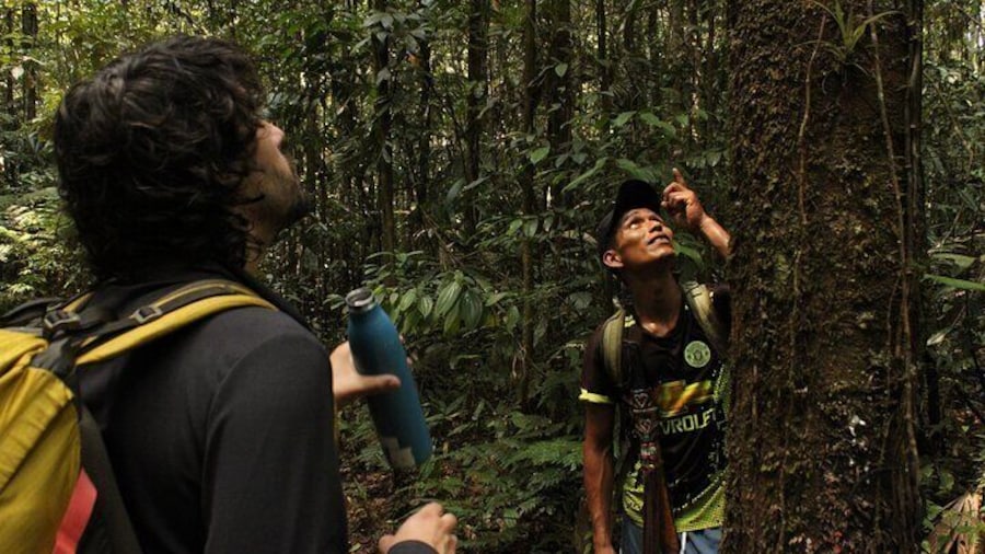 Calderon Extreme Jungle Tour - Leticia - Amazonas - Colombia