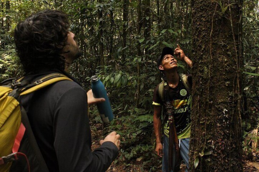 Calderon Extreme Jungle Tour - Leticia - Amazonas - Colombia