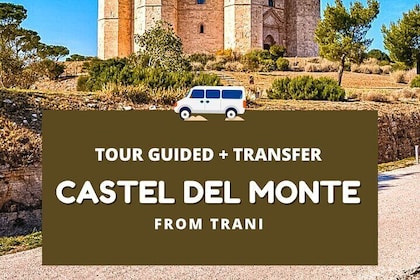 Trani – Castel del Monte: organised tour in 3 hours