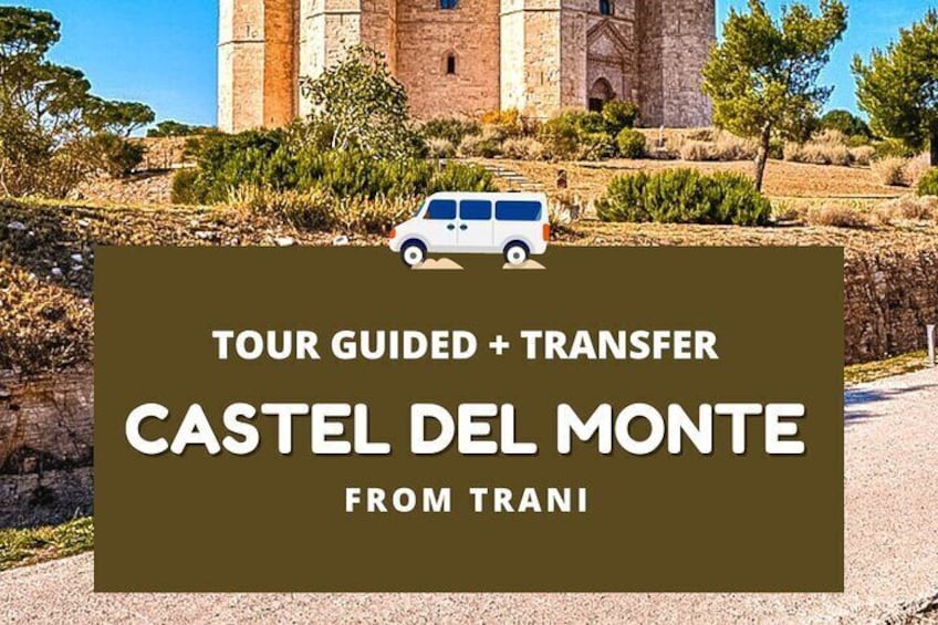Trani – Castel del Monte: organized tour in 4 hours