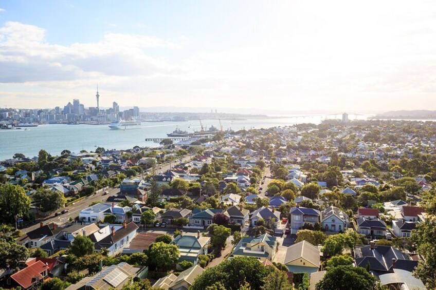 Full Day Private Shore Tour in Auckland from Tauranga Cruise Port