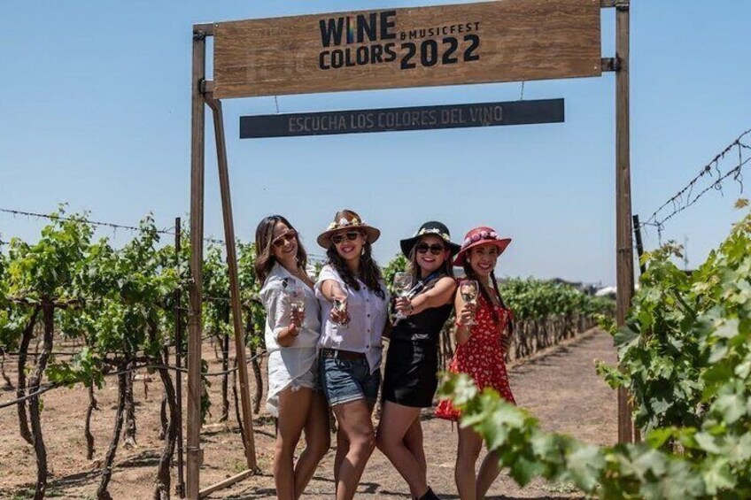 Private Mexico City Wine Tour: Hidden Valley Vineyards