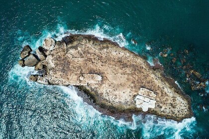 Seal Island Tour in Mossel Bay