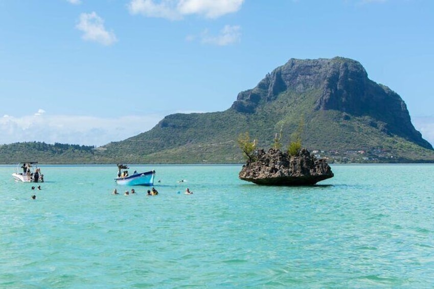 Exciting Dolphin encounters in the Maurtius's lagoon