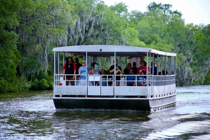 New Orleans: Swamp Tour on Covered Pontoon Boat