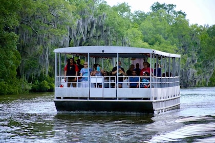 New Orleans: Moerastocht op een overdekte pontonboot