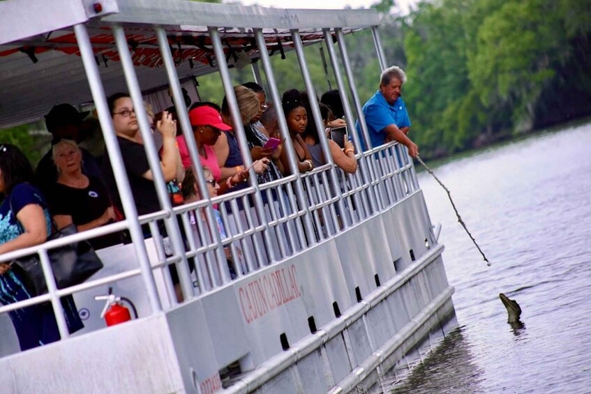 Picture 4 for Activity New Orleans: Swamp Tour on Covered Pontoon Boat