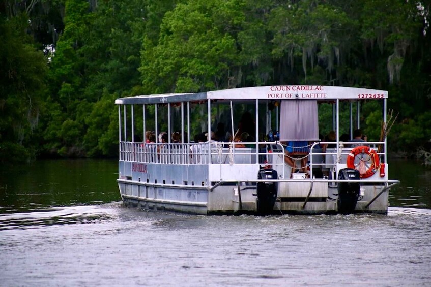 Picture 8 for Activity New Orleans: Swamp Tour on Covered Pontoon Boat