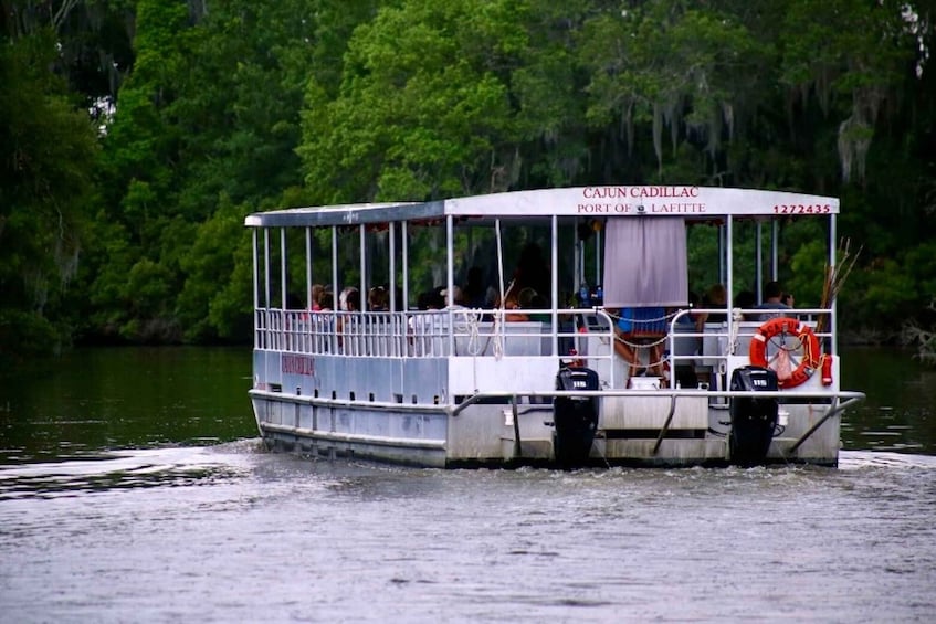 Picture 8 for Activity New Orleans: Swamp Tour on Covered Pontoon Boat