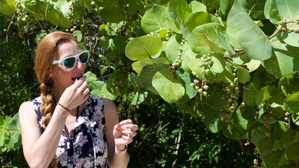 Show item 3 of 5. Woman trying fruit from tree in Grand Bahamas