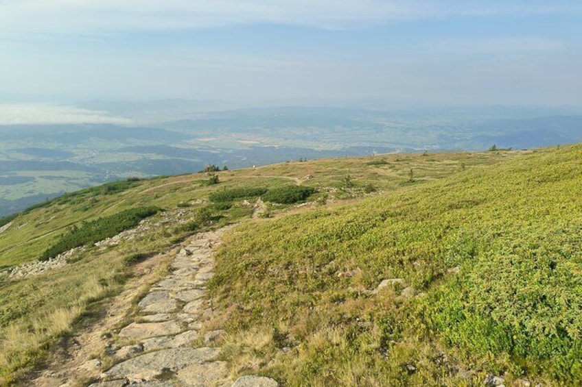 One of trails leading to the top of Babia Góra