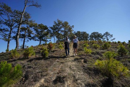 Kaffee - Wein - Tee Da Lat's landwirtschaftliche Schätze Tour